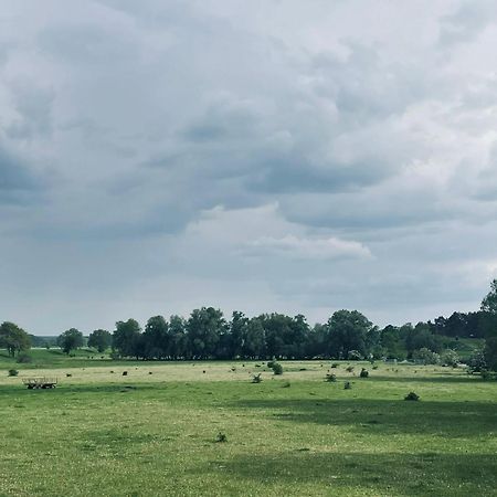 Ferienwohnungen Stolzenhagener 7 Lunow-Stolzenhagen Exteriör bild
