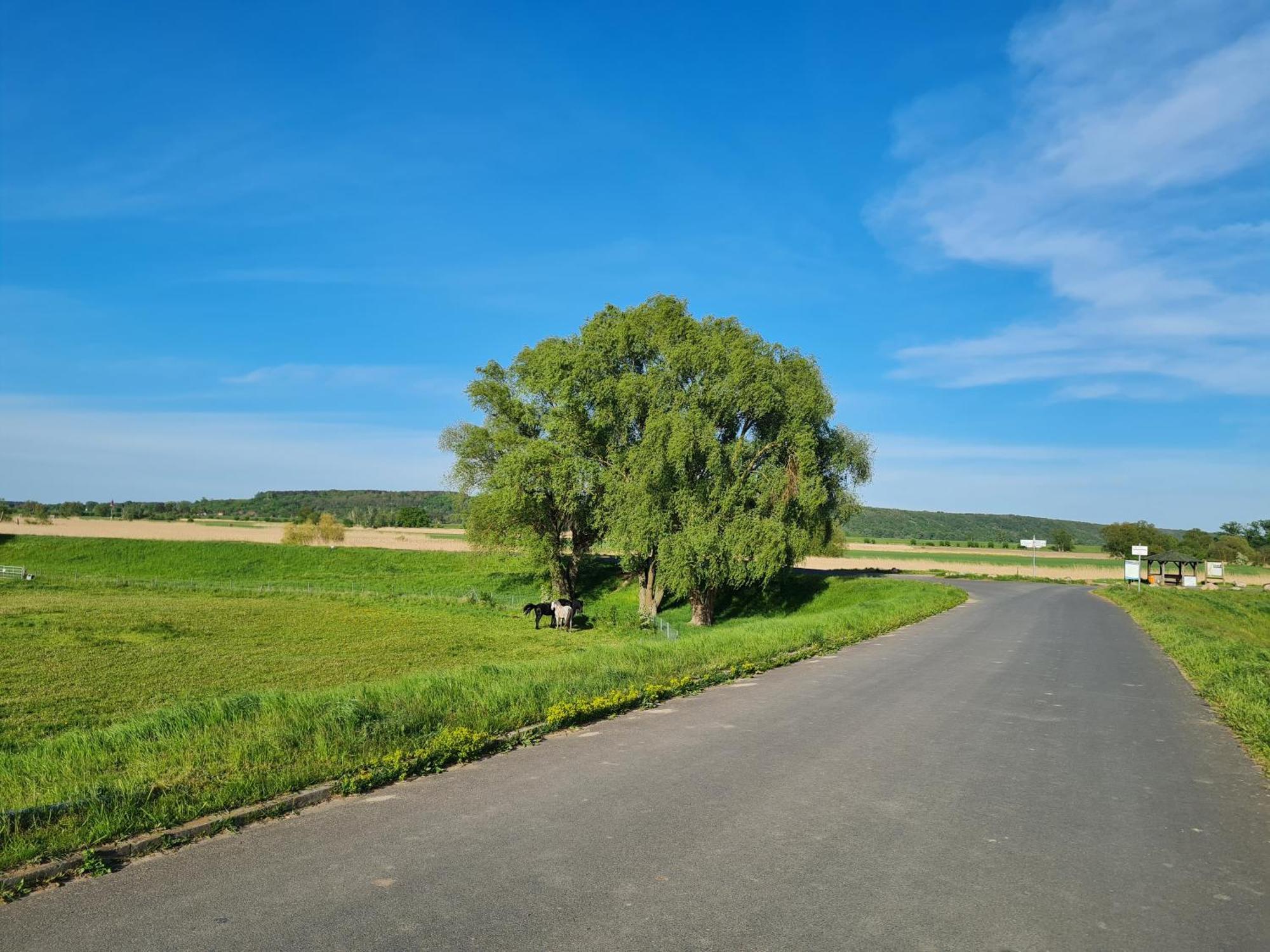 Ferienwohnungen Stolzenhagener 7 Lunow-Stolzenhagen Exteriör bild