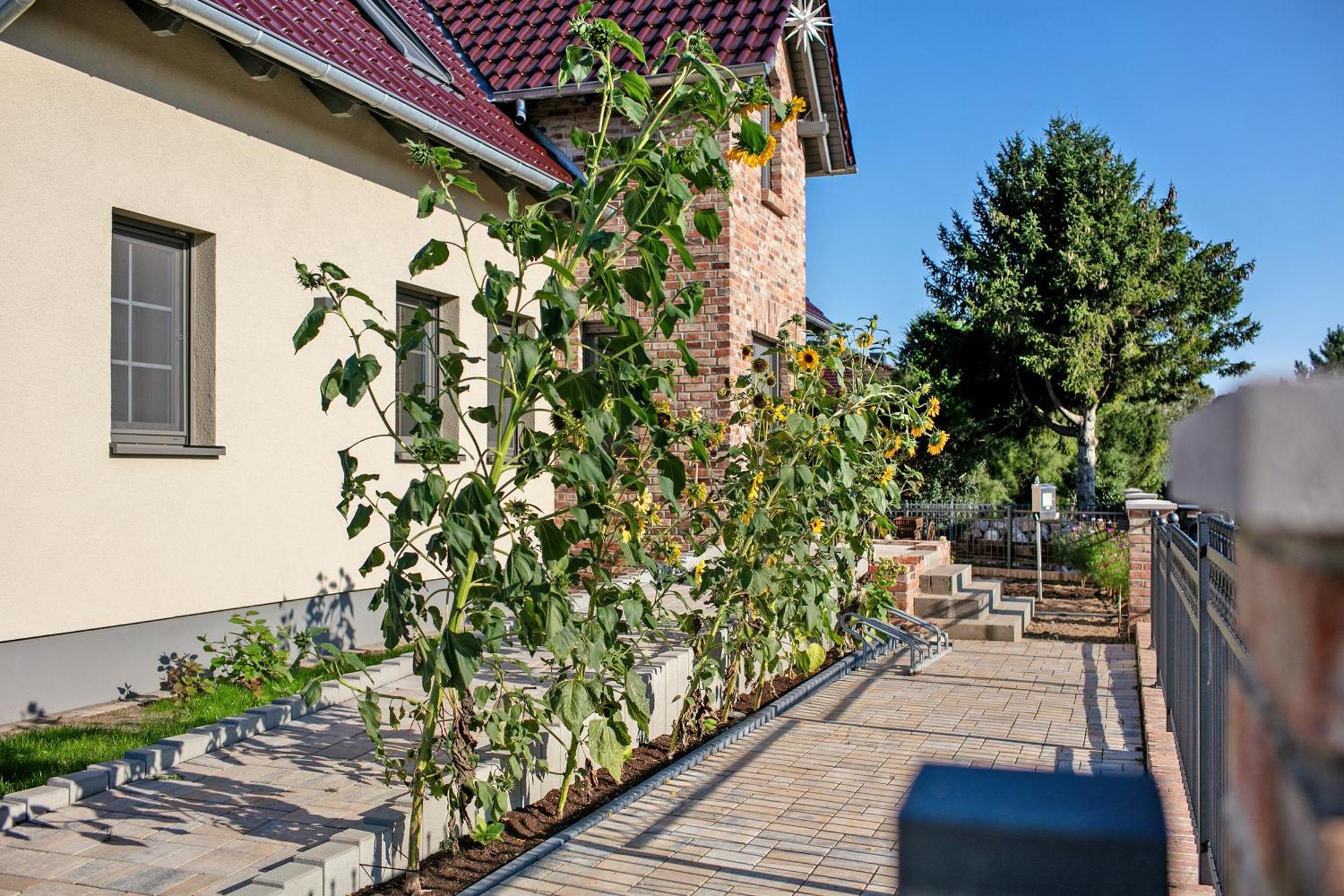 Ferienwohnungen Stolzenhagener 7 Lunow-Stolzenhagen Exteriör bild