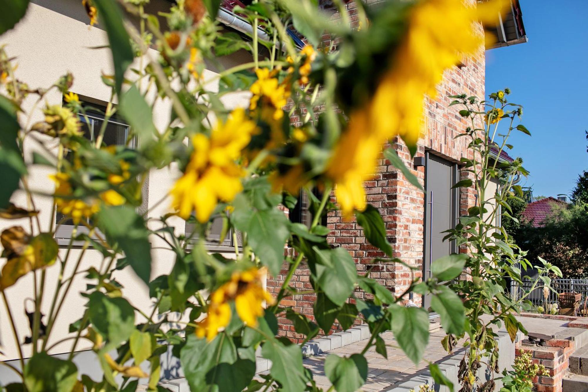 Ferienwohnungen Stolzenhagener 7 Lunow-Stolzenhagen Exteriör bild